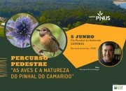 Percurso pedestre “As aves e a natureza do Pinhal do Camarido”